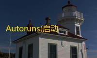 Autoruns(启动项设置)